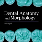 Dental Anatomy and Morphology 1st Edition 2 Dental Anatomy and Morphology 1st Edition